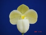 Paph. Kevin Porter fma. album