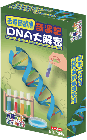 2025夏令營孟德爾遺傳奇遇記-DNA大解密:寶盒贈品.jpg 2025夏令營孟德爾遺傳奇遇記-DNA大解密:寶盒贈品.jpg