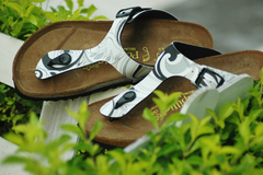 【勃肯鞋-東海店】Papillio 新品 Gizeh_244271的產品圖