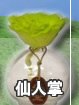 日本元藏陶花香氛瓶 MOTOKURA-仙人掌
