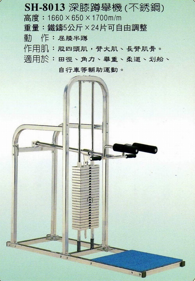 SH-8013深蹲推舉機