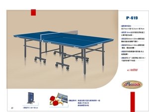 桌球桌 P-619