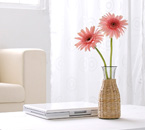 如何運動不傷膝？走路、室內腳踏車、游泳、水中運動，多元組合，是保養膝蓋最好的方式~