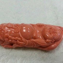 珊瑚收購