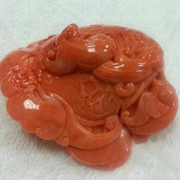 珊瑚收購