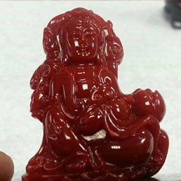 珊瑚收購
