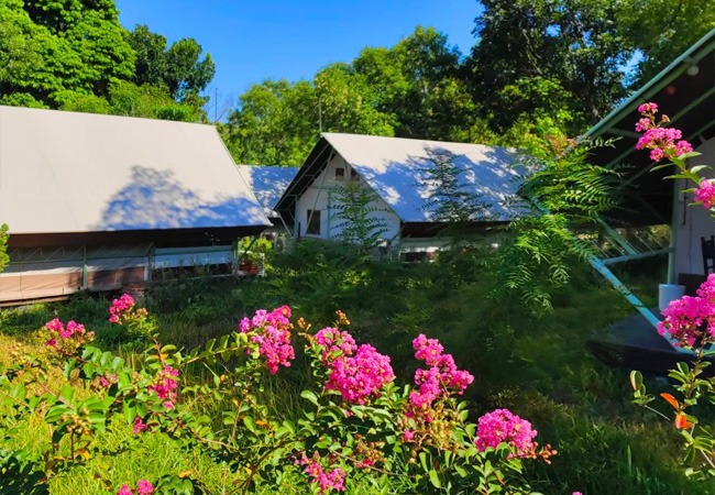 友善環境保育露營園區