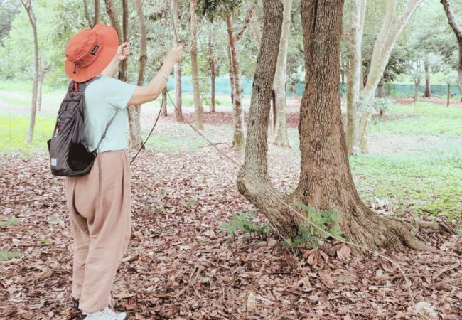 清水那方森林療癒行程 - 3天2夜