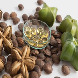 台灣中海拔印加果油軟膠囊