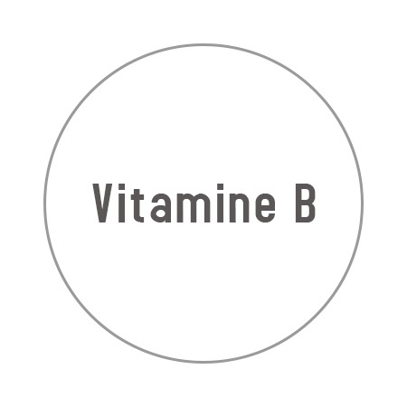 維他命B群 維他命B群