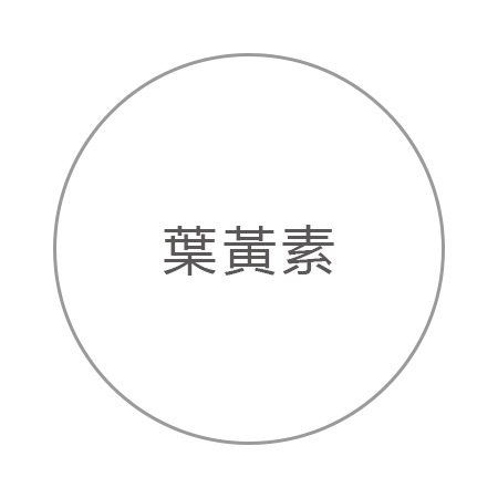葉黃素.山桑子.藻紅素 葉黃素.山桑子.藻紅素