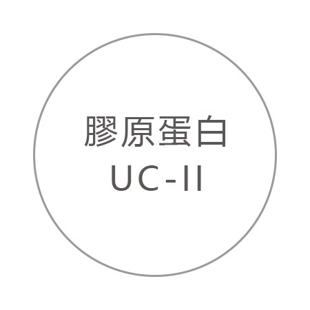 膠原蛋白、非變性第二型膠原蛋白UC-II 膠原蛋白、非變性第二型膠原蛋白UC-II