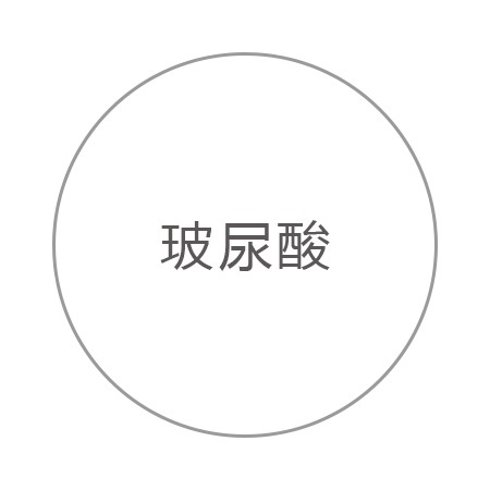 玻尿酸 玻尿酸