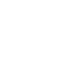index-icon02
