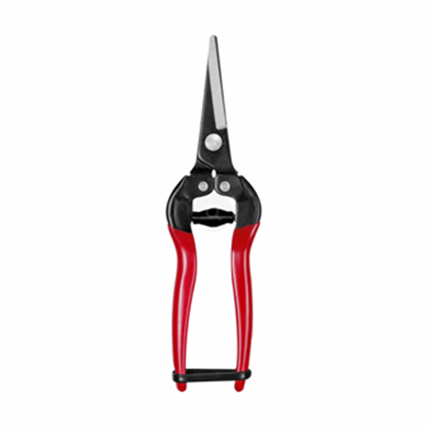 Shears