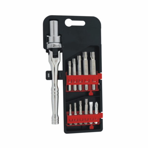 12 IN 1 RATCHET SCREWDRIVER & BIT SET