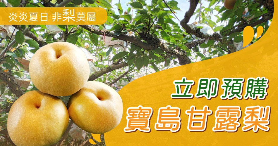 寶島甘露梨預購開賣