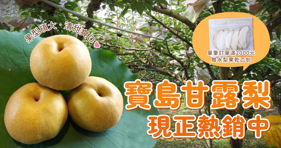 寶島甘露梨熱銷中
