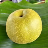 【已售完】9L豐水梨(水梨)9粒裝第2張小圖