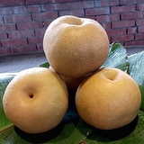 【熱銷中】30A寶島甘露梨(水梨)2粒裝 精緻禮盒第2張小圖