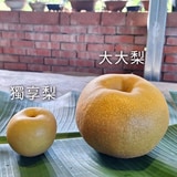 【熱銷中】36A寶島甘露梨(水梨)4粒裝 家庭號第2張小圖