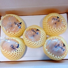 【缺貨中】30A寶島甘露梨(水梨)5粒裝