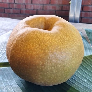 【預購中】34A寶島甘露梨(水梨)8粒裝