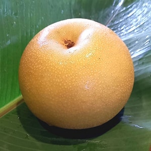 【預購中】8S新月蜜梨(水梨)20粒裝