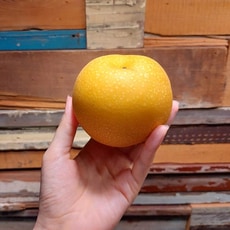 【預購中】10L新月蜜梨(水梨)50粒裝