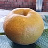 【熱銷中】36A寶島甘露梨(水梨)8粒裝 分享號