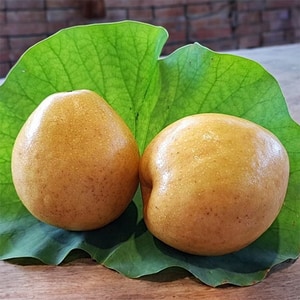 【熱銷中】8M水晶蜜梨(水梨)16粒裝