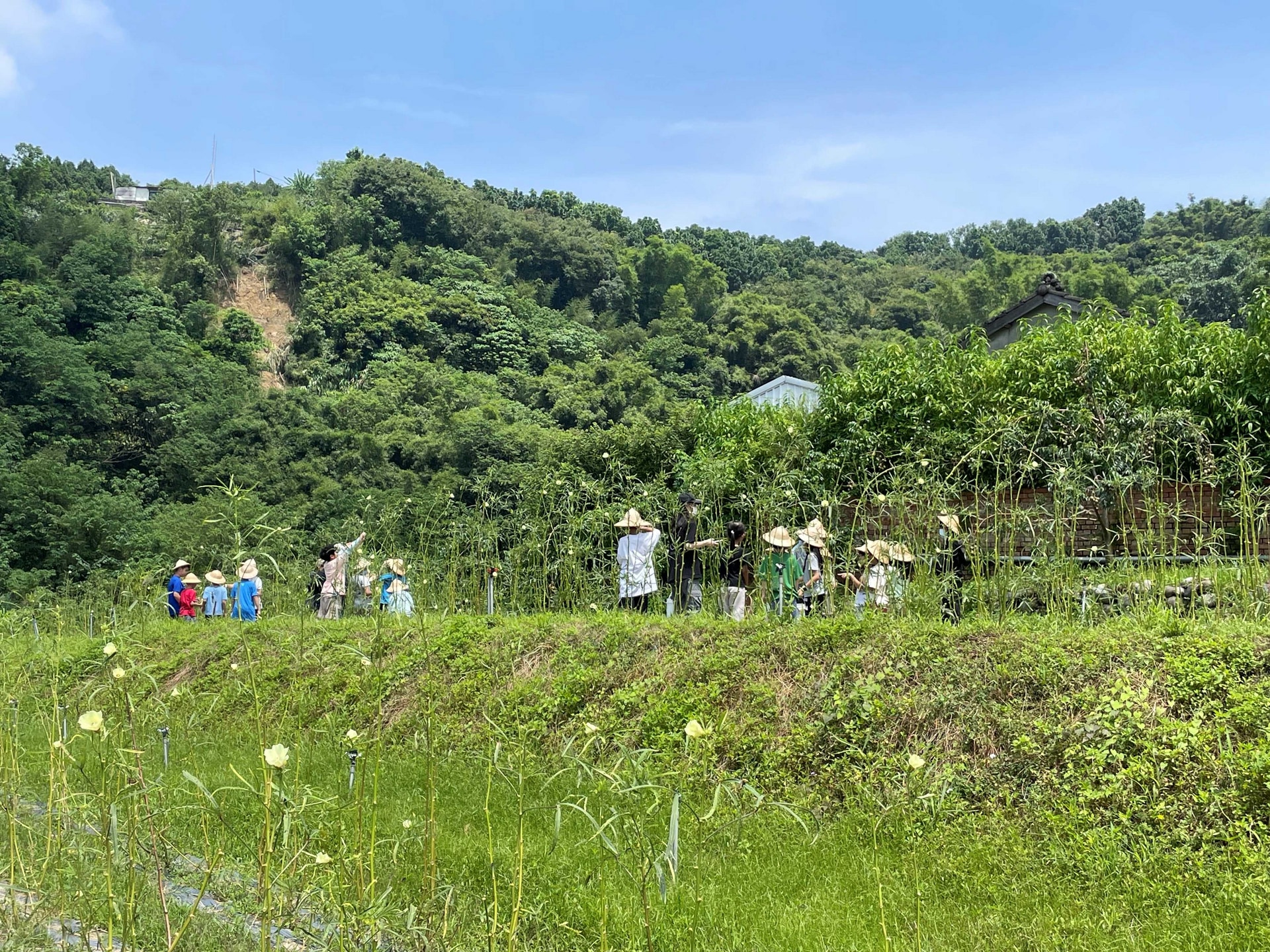 1433C853-035B-42A0-9711-CBA7D8483215