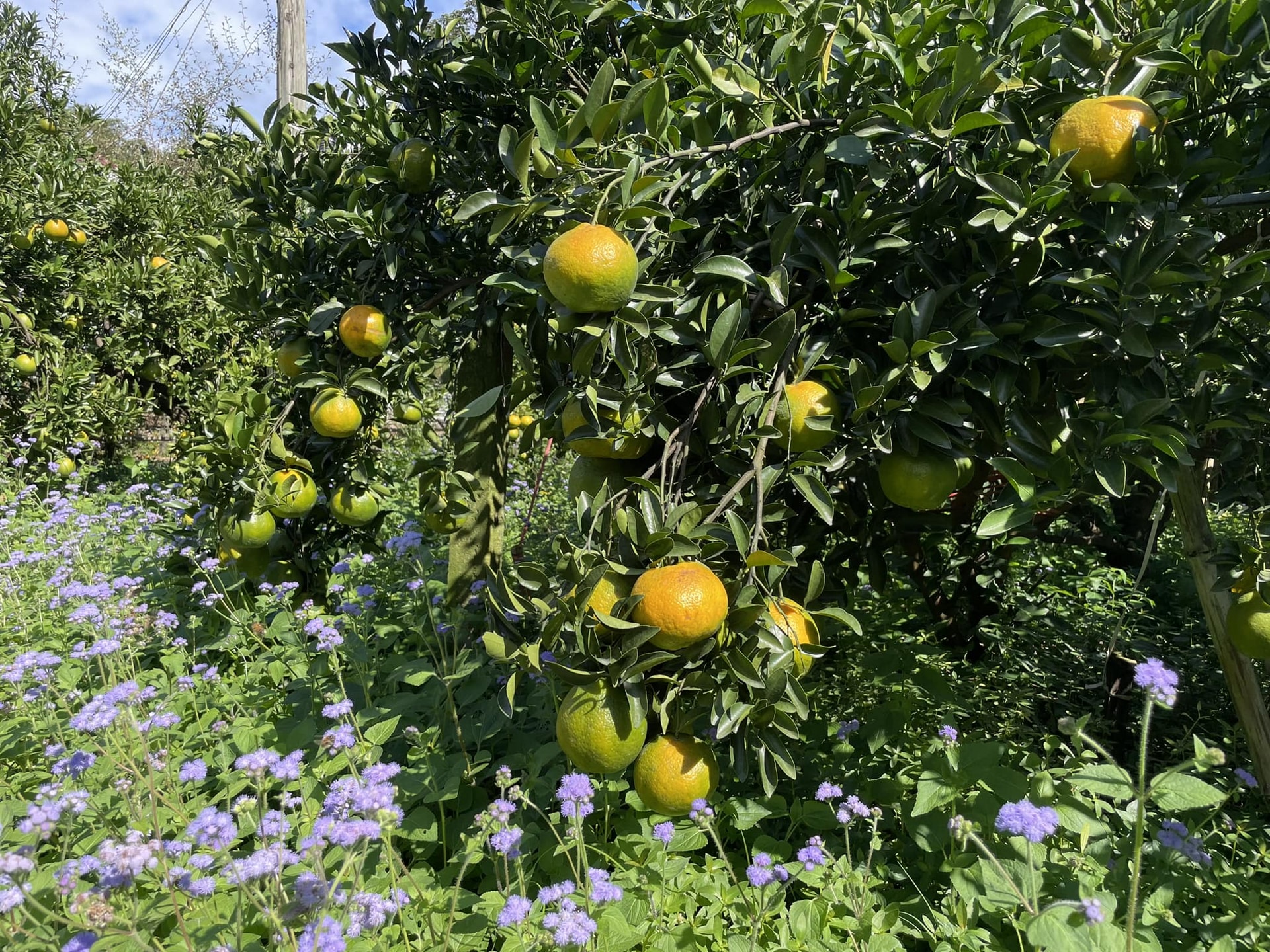 486115602_1072268484941547_3233173525943258433_n