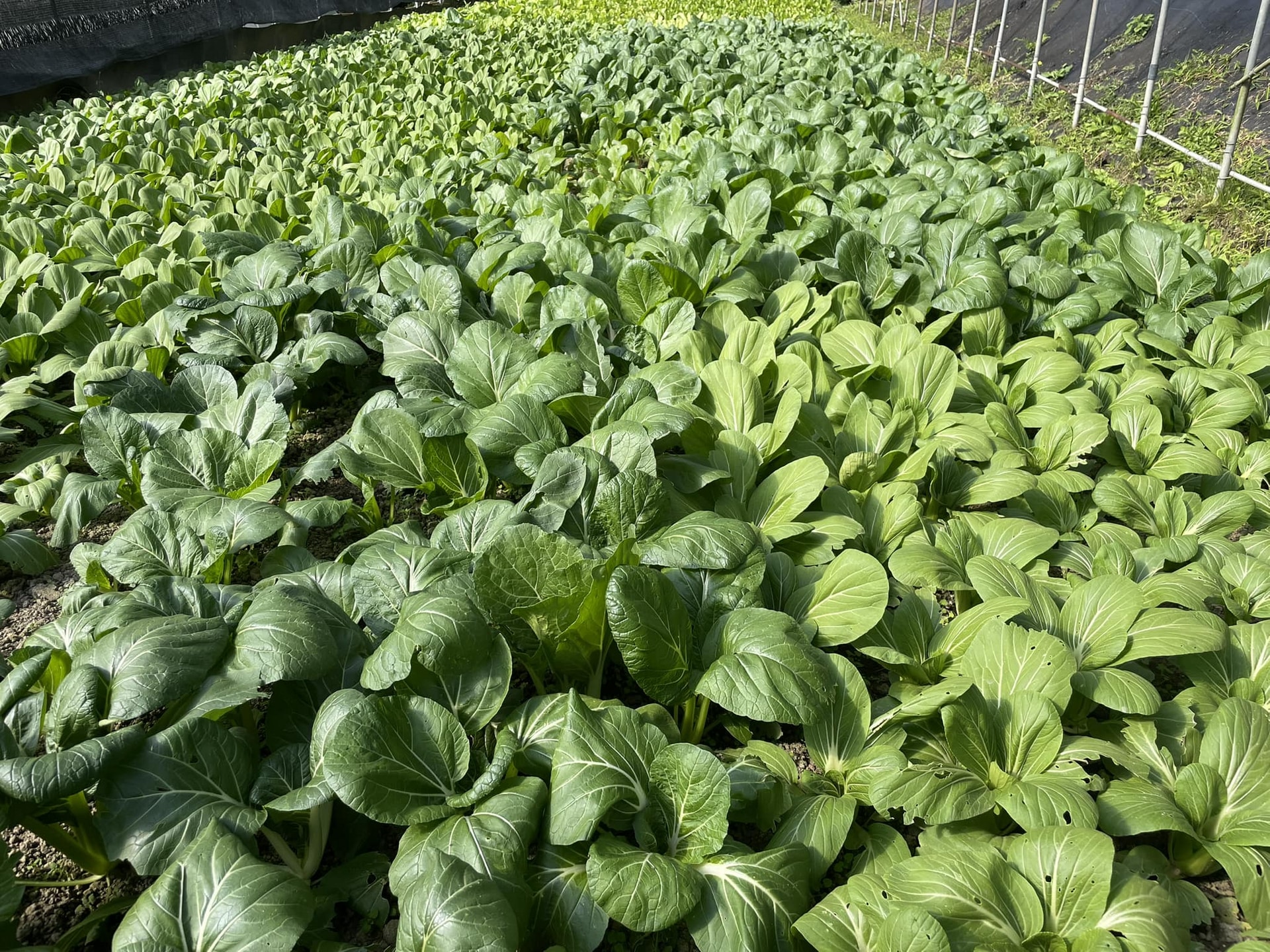 485796027_1072357208266008_357064520652984106_n