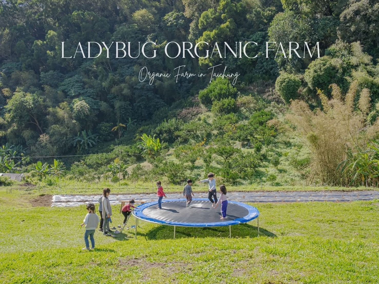 486479821_1073166004851795_7093259255915922573_n