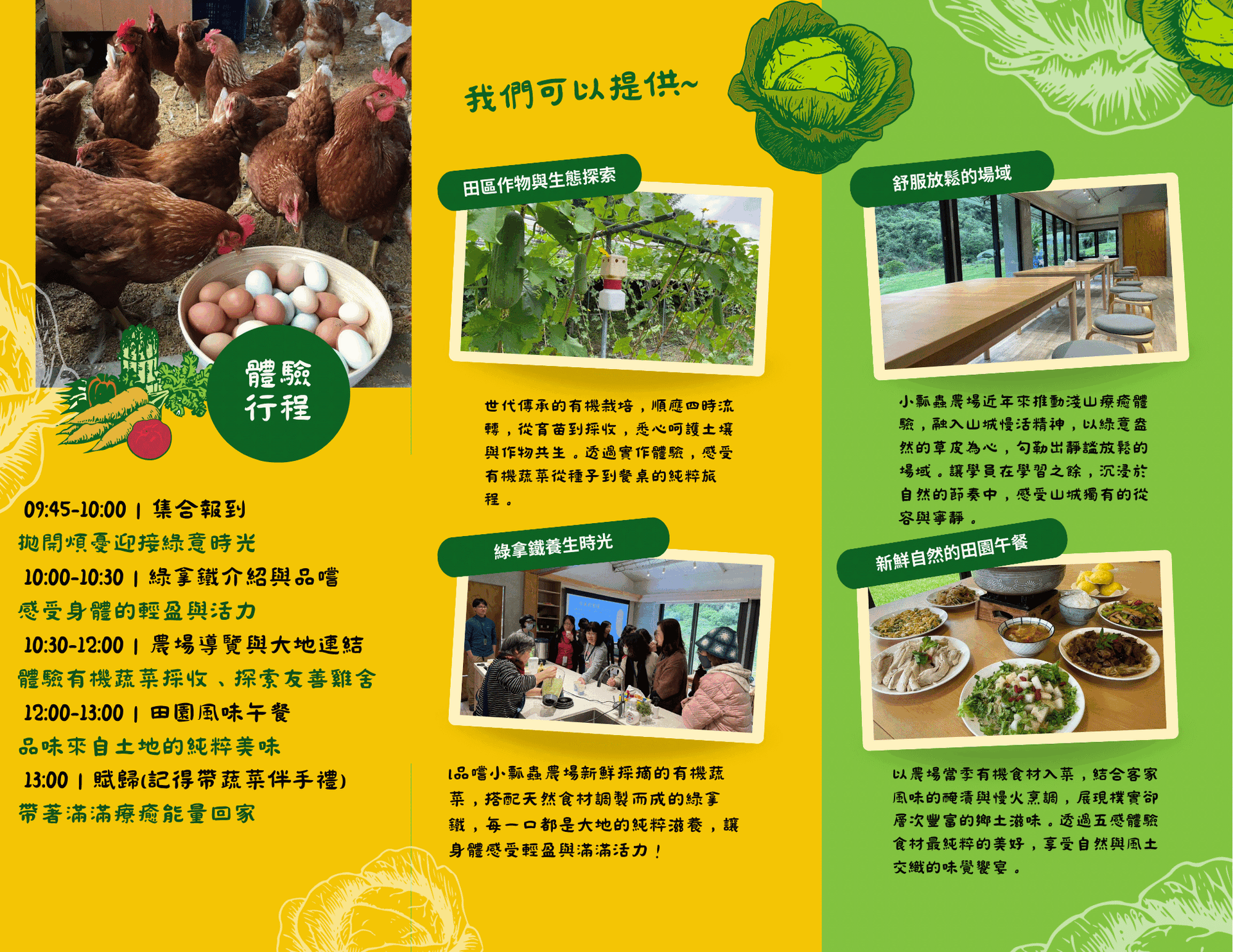 Green Yellow Fresh Organic Vegetable Farm Promotion Brochure (19)