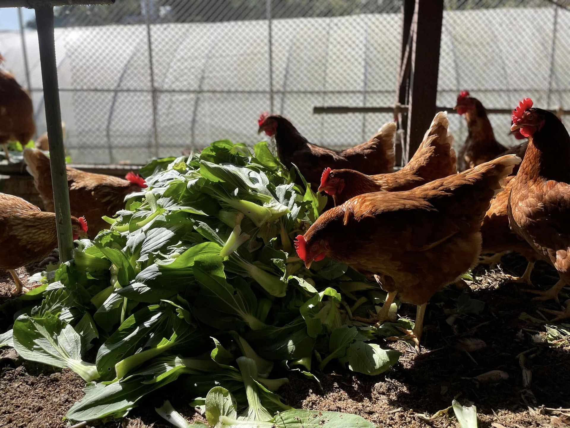 486123825_1072470408254688_3291549916635068723_n