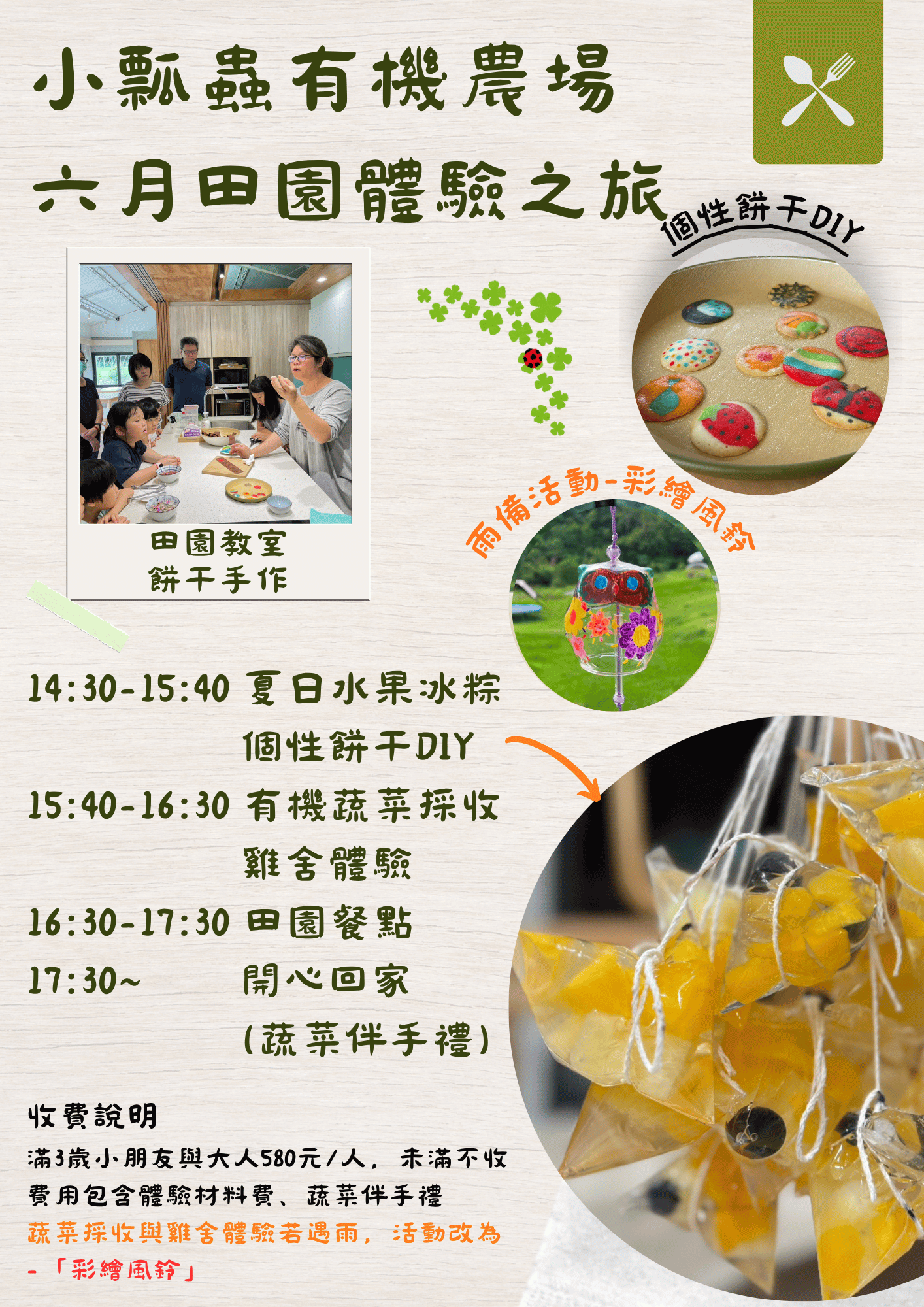 Light Green White Homemade Food Service Flyer (1)