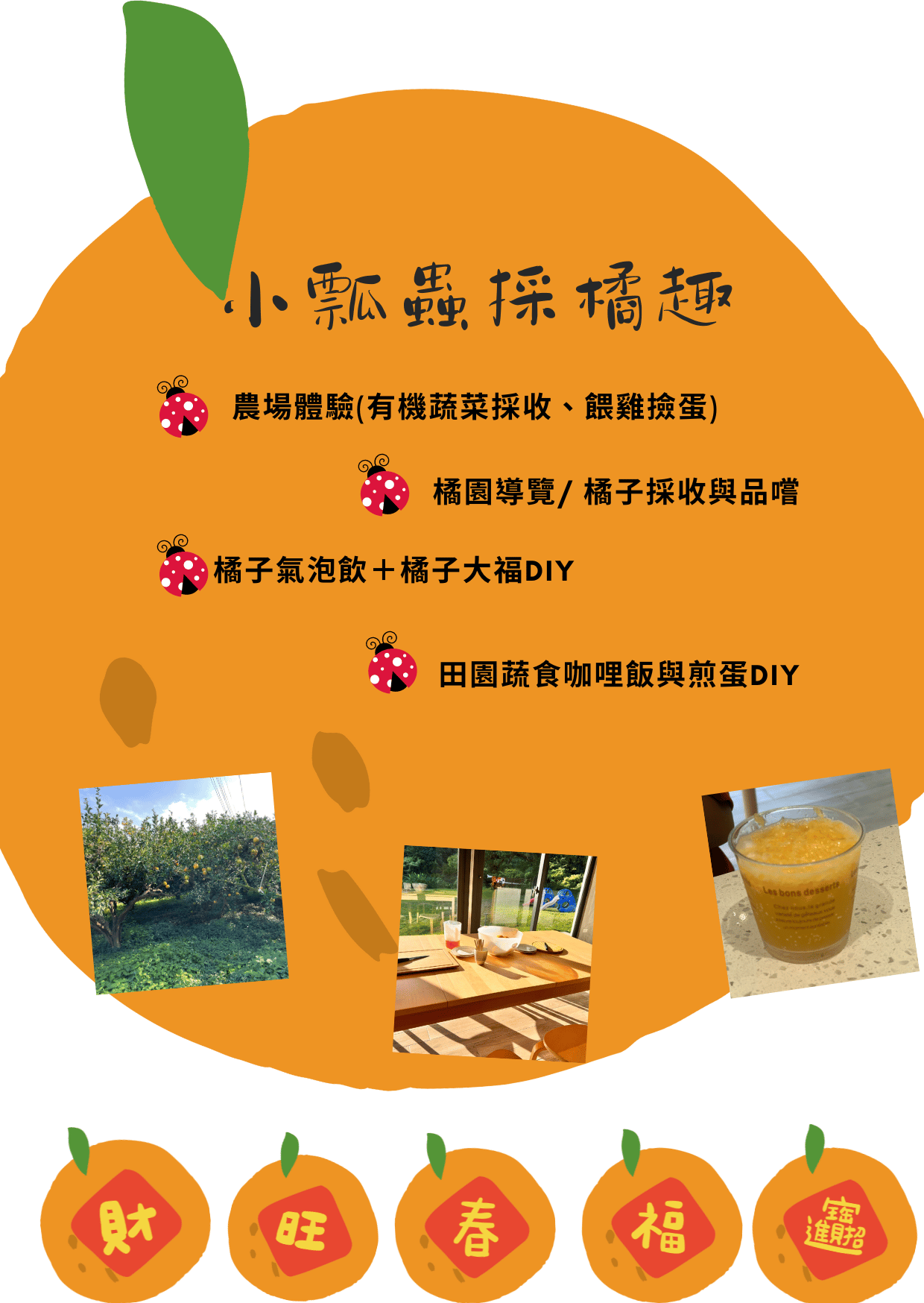 【散客預約】12月深秋，橘子紅了-橘子體驗活動！！