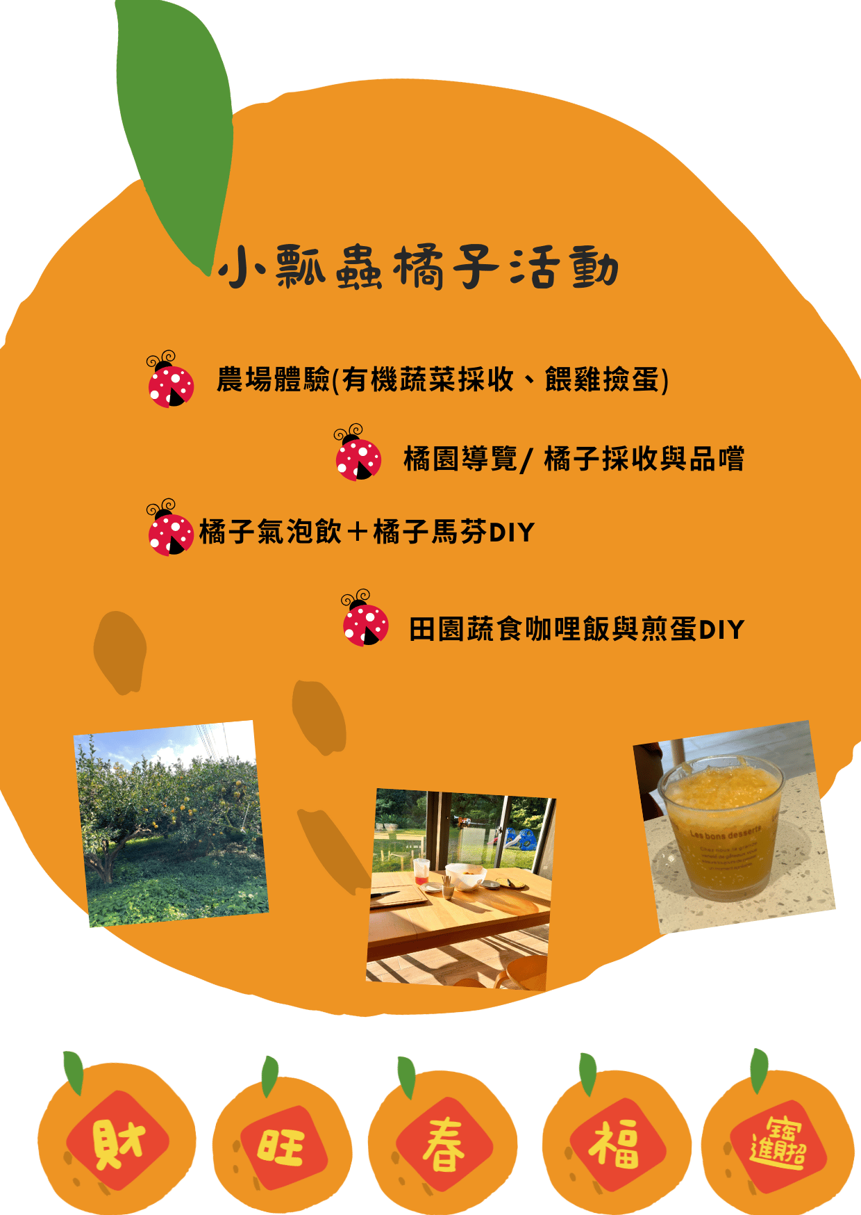 【散客預約】11月入秋,橘子紅了-橘子體驗活動!! 【散客預約】11月入秋,橘子紅了-橘子體驗活動!!