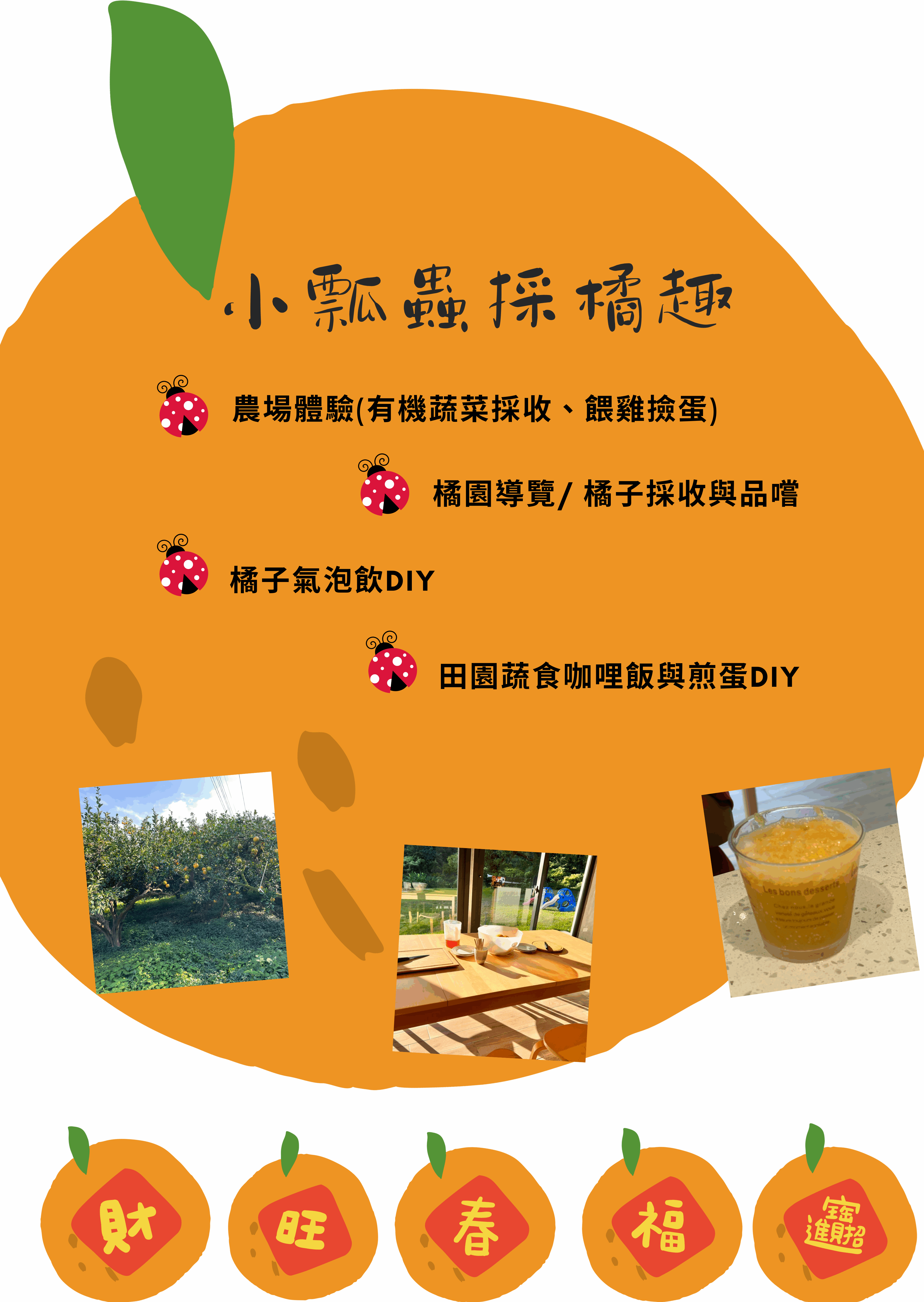 【散客預約】中文橘子成熟了散客體驗活動！！