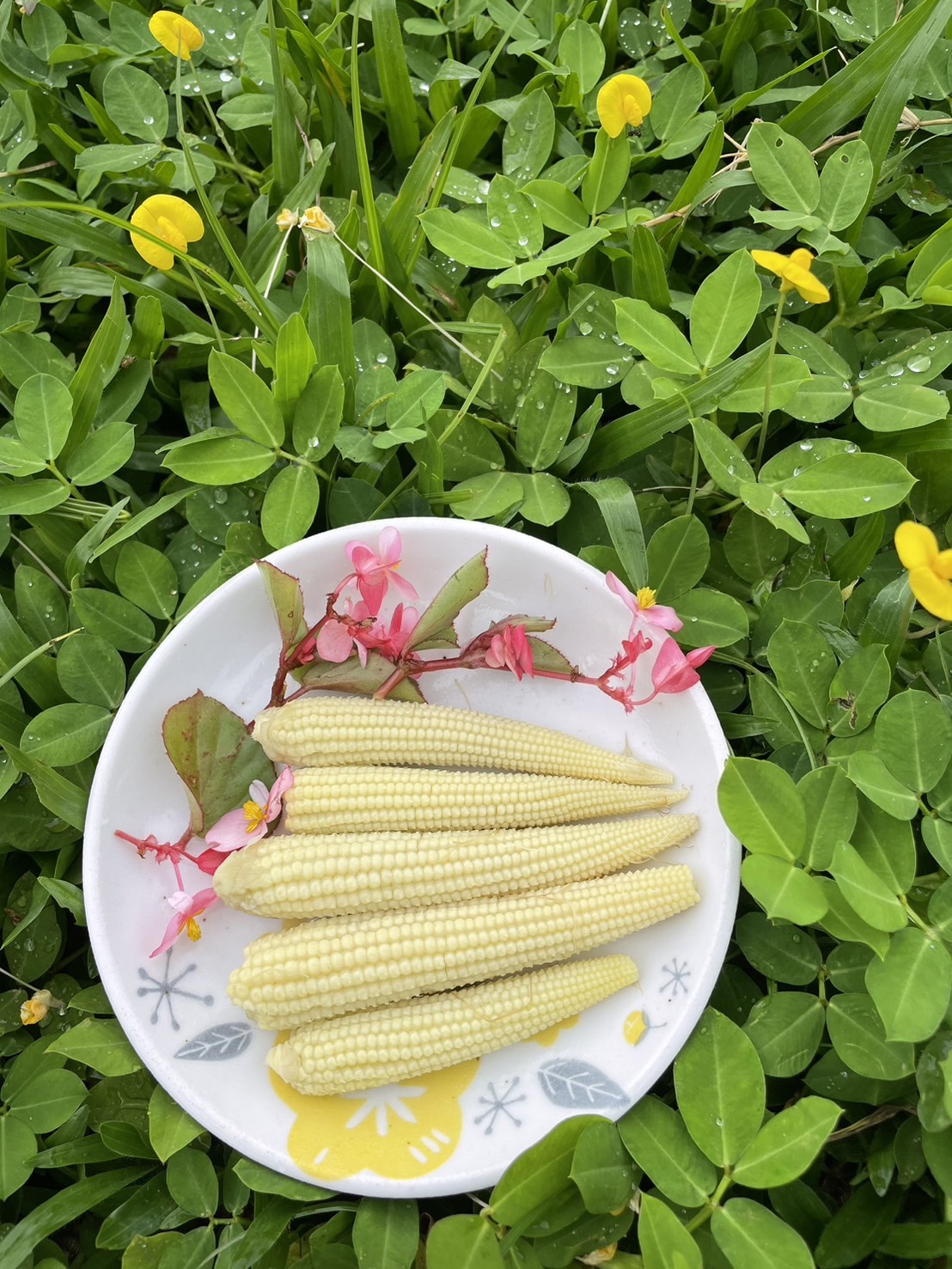 S__29163536_0 S__29163536_0