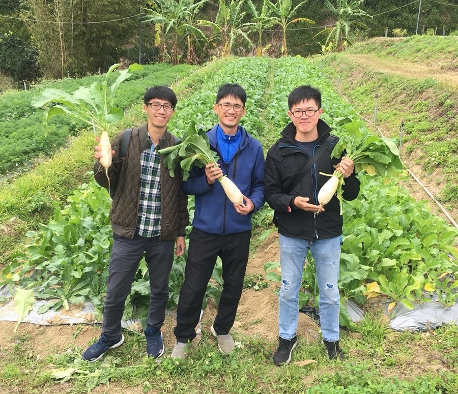 2019-1-2 野菜セット