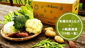 小瓢蟲飽足箱