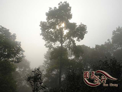 雲南普洱茶-乾倉與濕倉．國昌普洱茶