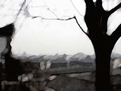 雲南普洱茶的歷史.追溯普洱茶的源頭．國昌普洱茶