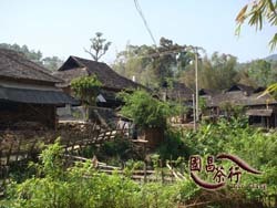 2010年 雲南普洱茶 收茶之行 後篇．國昌普洱茶