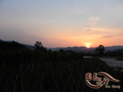 2011年春季 雲南普洱茶 收茶之茶山心得．國昌普洱茶