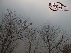 2012年 春季 雲南普洱茶 收茶旅程．國昌普洱茶