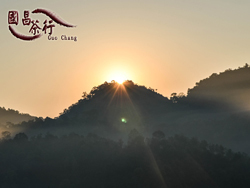 2014年 雲南春季普洱茶 茶山之旅．國昌普洱茶